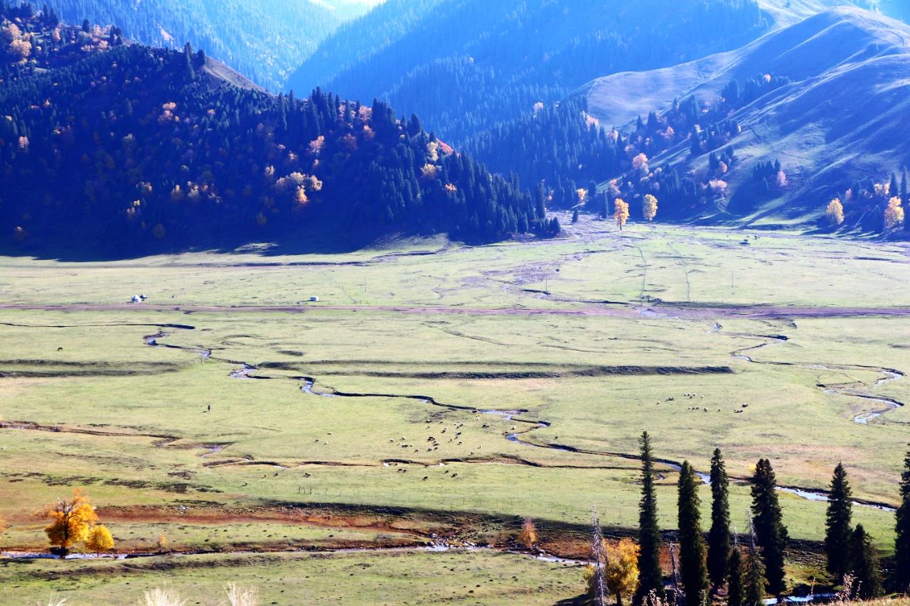 1697250546109927.jpg 04.jpg