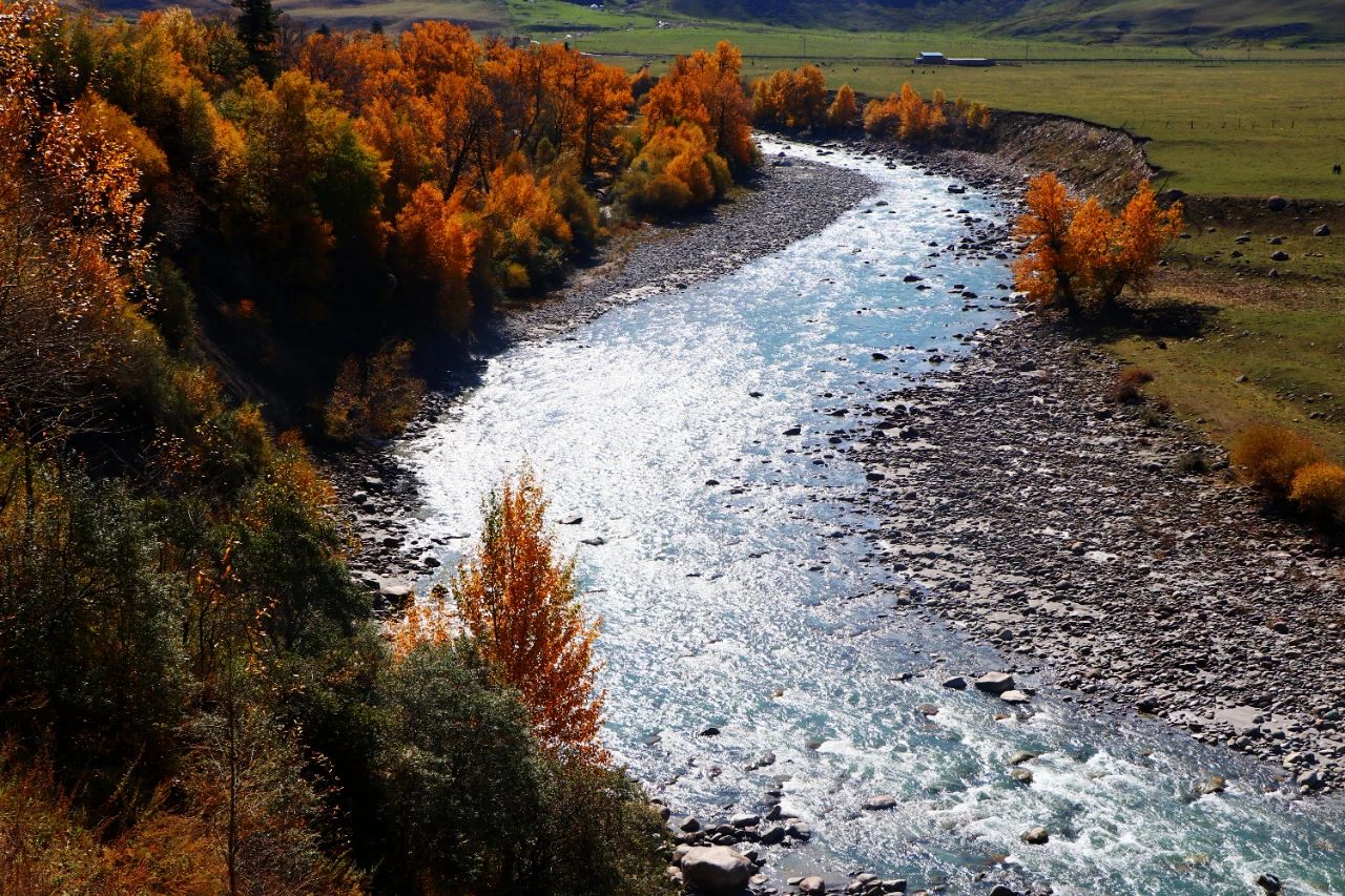 1697250577392620.jpg 06.jpg