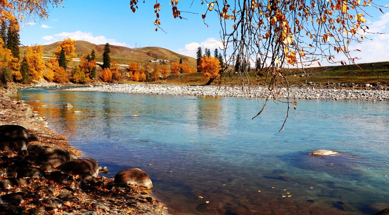 1697250714912872.jpg 12.jpg