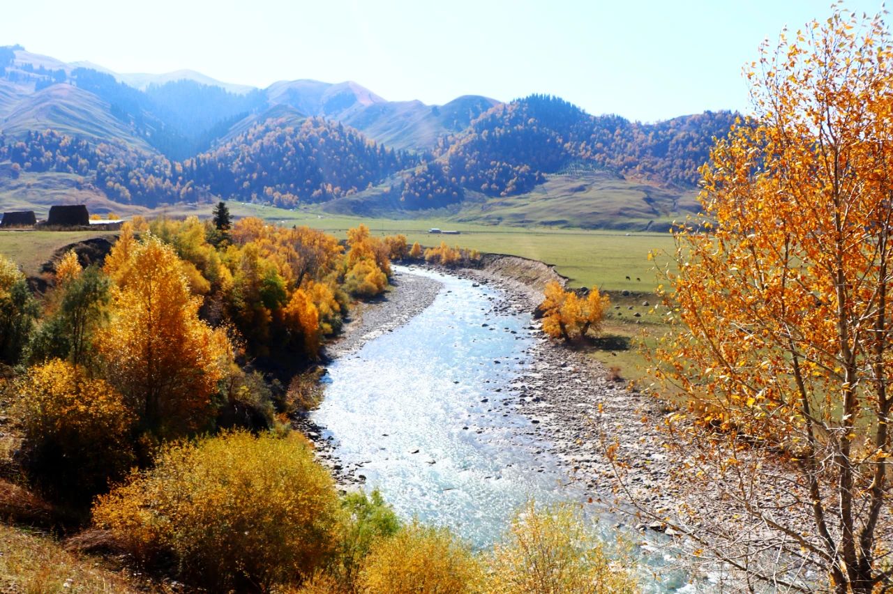 1697250785777721.jpg 09.jpg