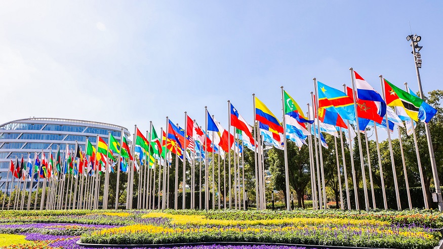 1699351246829860.jpg 微信图片_202311071019571.jpg